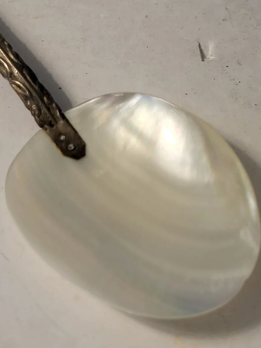Pair Of Vintage Mother of Pearl Caviar Spoons - Iridescent White